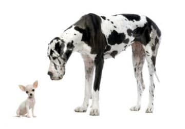 The Hazards of Comparison