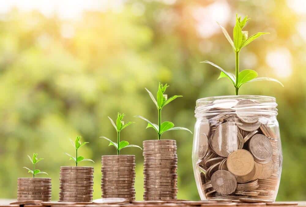 Cultivating Your Financial Forest